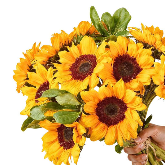 Bright Idea sunflowers close-up—10 golden sunflowers with green leaves in a bright bouquet | Flower Guy