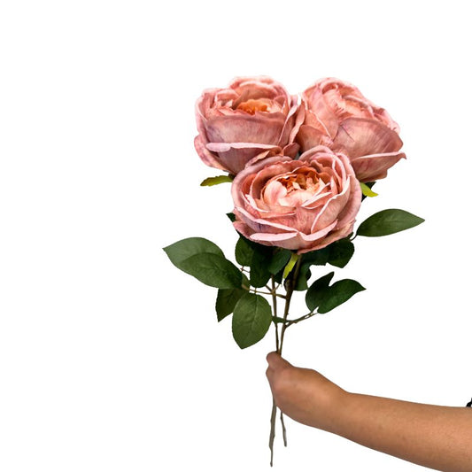 Bouquet of pink roses held by a hand on a white background