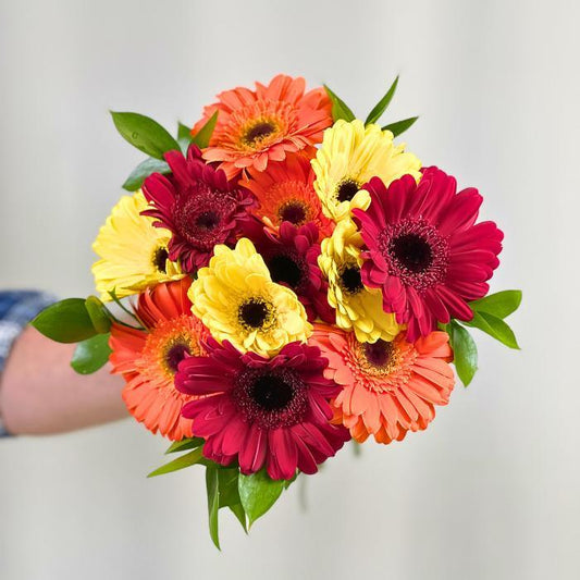 Radiant mixed Gerbera Daisy bouquet wrapped elegantly - Flower Guy