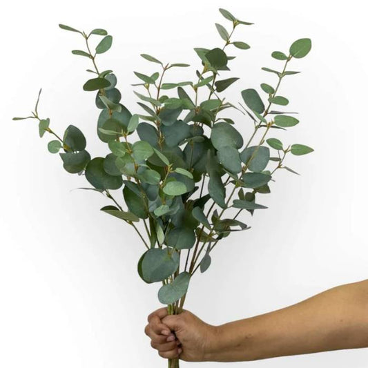 A hand holding a bouquet of Eucalyptus Sage Green artificial foliage, highlighting the full and lifelike greenery in a realistic arrangement.