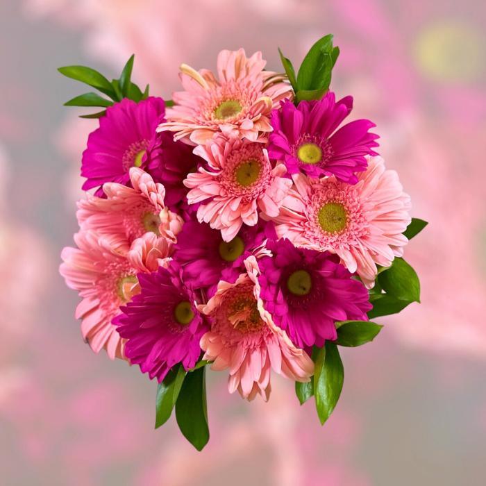 Cheap flowers, Cerise pink gerbera daisies beautifully arranged in Fuchsia Fantasy Gerbera Bouquet from Flower Guy