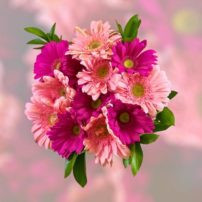 Cheap flowers, Cerise pink gerbera daisies beautifully arranged in Fuchsia Fantasy Gerbera Bouquet from Flower Guy