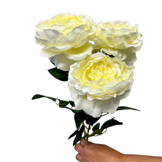 Bouquet of yellow and white flowers held by a hand on a white background