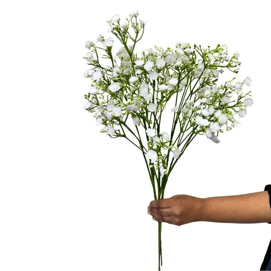 Bouquet of white flowers held by a hand on a white background