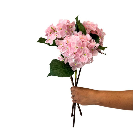 Hand holding a bouquet of pink flowers against a white background