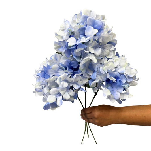 Bouquet of blue and white flowers held by a hand on a white background