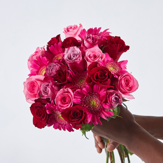 Close-up of hand-tied bouquet featuring red, magenta, and pink roses with pink gerbera daisies, held in two hands