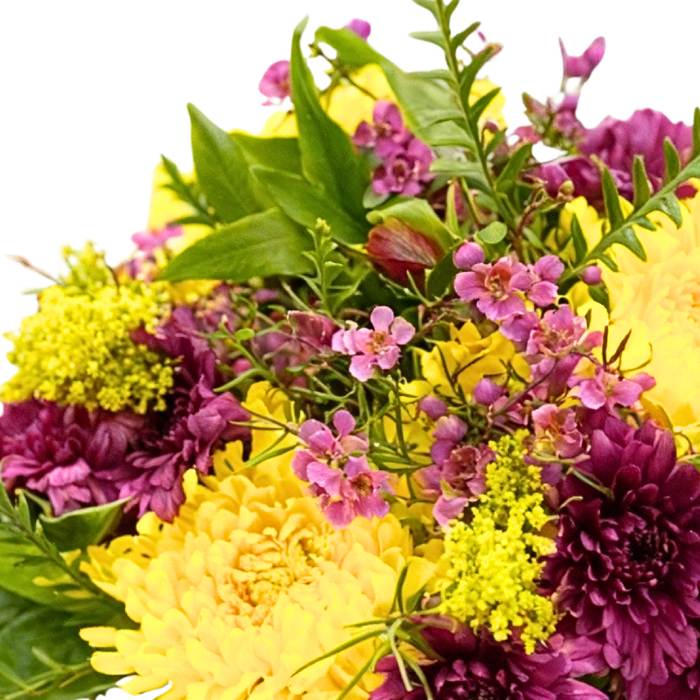 Peninsula Paradise Flower Bouquet close-up—vibrant chrysanthemums and wax flowers in gift-ready wrapping | Flower Guy