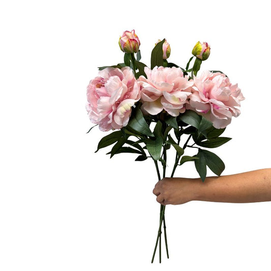 Bouquet of pink flowers held by a hand on a white background