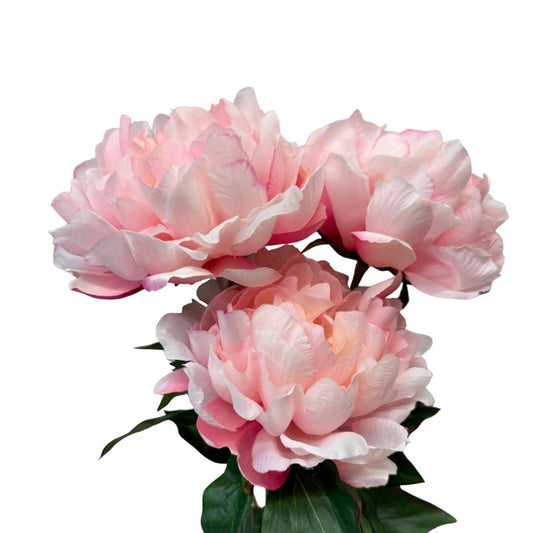 Pink artificial flowers on a white background