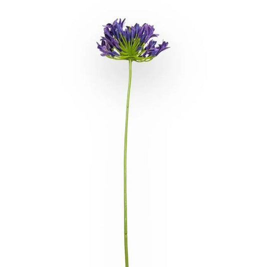 Single stem of Purple Agapanthus Artificial Flowers with a long green stem and a cluster of purple blooms.