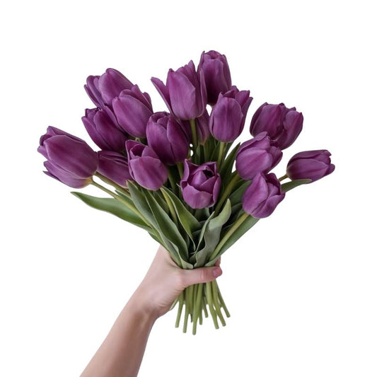 Hand holding a bouquet of purple tulips against a white background
