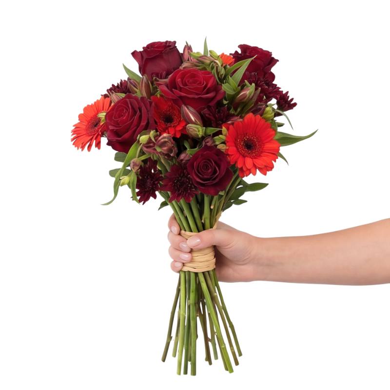 Bouquet of red and burgundy flowers held by a hand on a white background