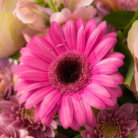 Close-up of The Soft Touch bouquet showing a bright pink gerbera daisy, a pale pink rose and soft mauve chrysanthemums nestled in green foliage.
