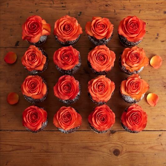 Overhead flat lay of chocolate cupcakes arranged in a uniform grid with orange rose toppers on dark chocolate sponge, dozen cupcake event set for milestone birthdays and corporate sends