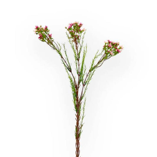 A single stem of Wax Flower Pink Artificial Flowers, featuring delicate pink blossoms on a slender green stem, perfect for subtle, graceful décor.