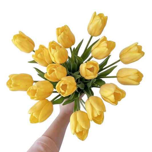 Bouquet of yellow tulips held by a hand against a white background