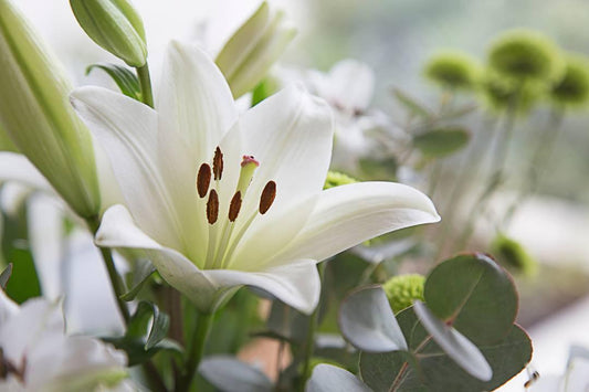 Is a Lily Bouquet Really Worth the Hype? - Flower Guy