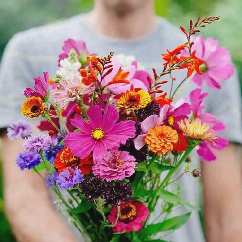 Affordable flowers are closer than you think - Flower Guy