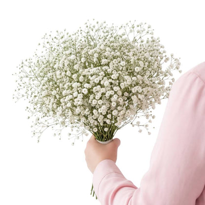 Bouquet of white flowers held by a person wearing a pink sweater on a white background