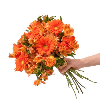 Bouquet of orange flowers held by a hand on a white background