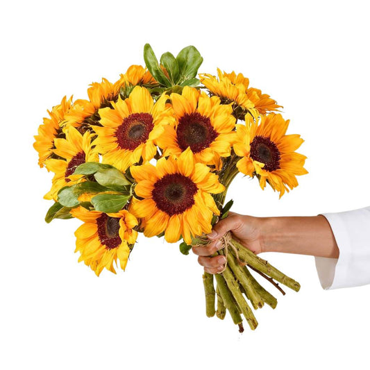 Bright Idea sunflower bouquet—hand holding 10 radiant sunflowers with greenery, tied stems, ready for delivery | Flower Guy