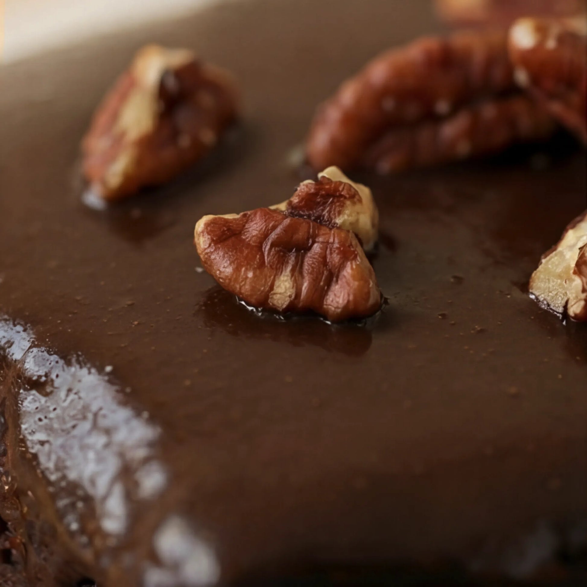 Macro of roasted pecan halves on dark chocolate ganache glaze, Chocolate Brownie by Flower Guy