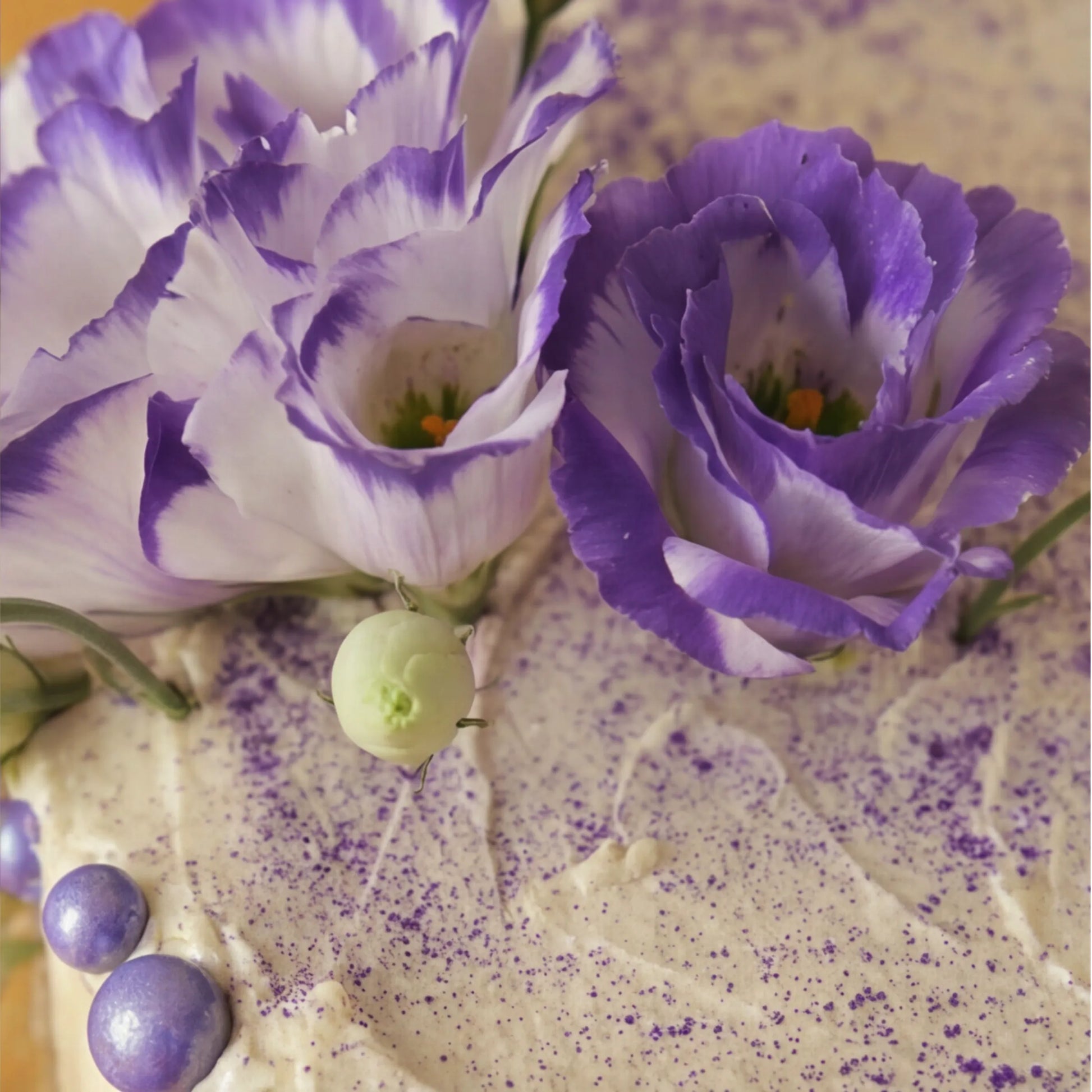 Macro close-up of bicolour purple lisianthus blooms on the Creamy Violet Dream Cake by Flower Guy
