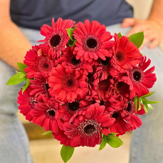 Close-up of Crimson Kiss Gerbera Daisy Bouquet being held by The Flower Guy 
