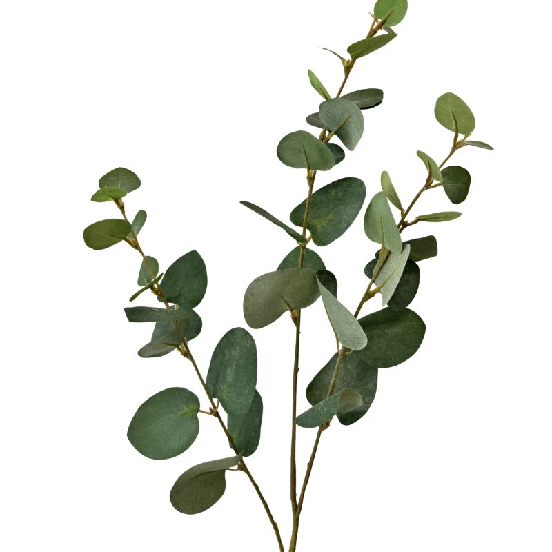 Artificial eucalyptus branch on a white background