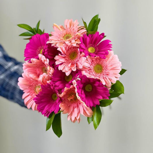 Close-up of soft pink gerbera daisy in Fuchsia Fantasy Gerbera Bouquet - Flower Guy
