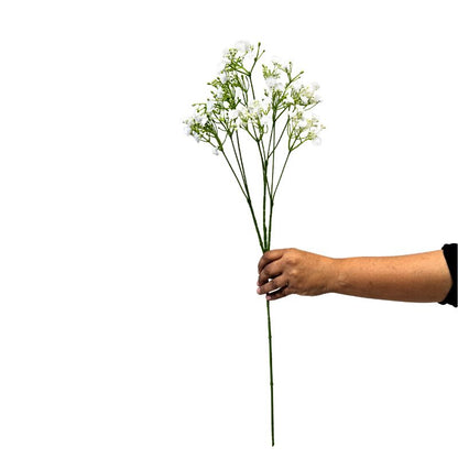 Hand holding a branch of small white flowers on a white background