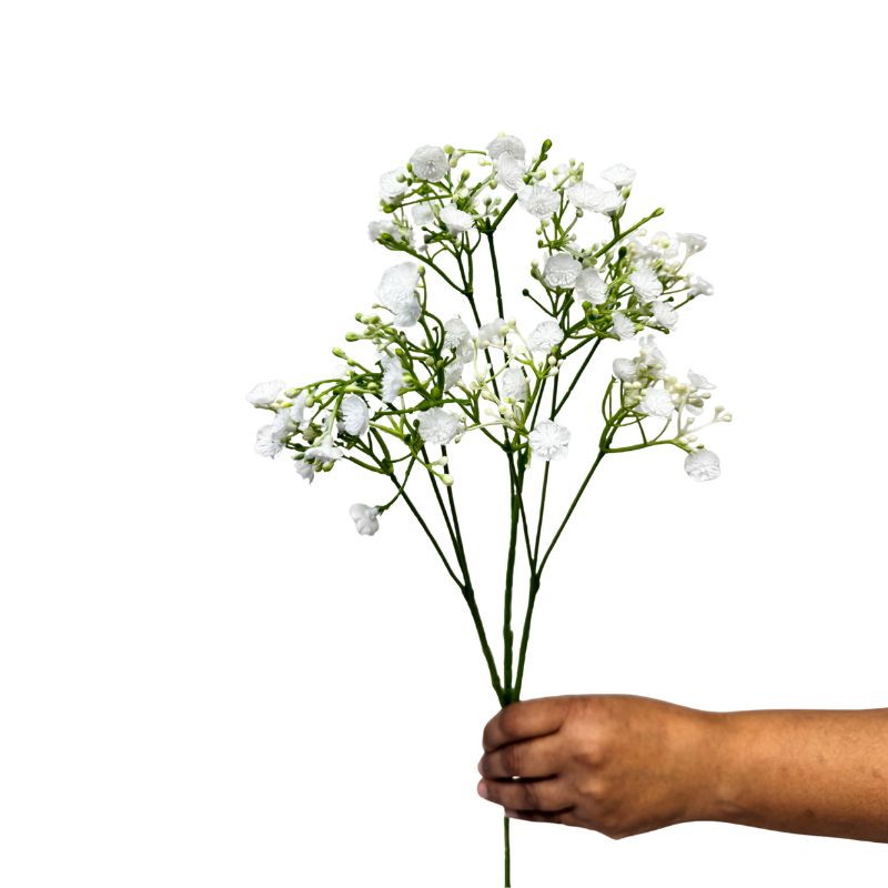 Hand holding a bouquet of white flowers against a white background