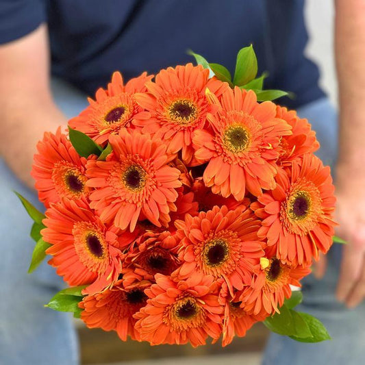Close-up of vibrant Orangina Blossom Gerbera Daisies held by Flower Guy