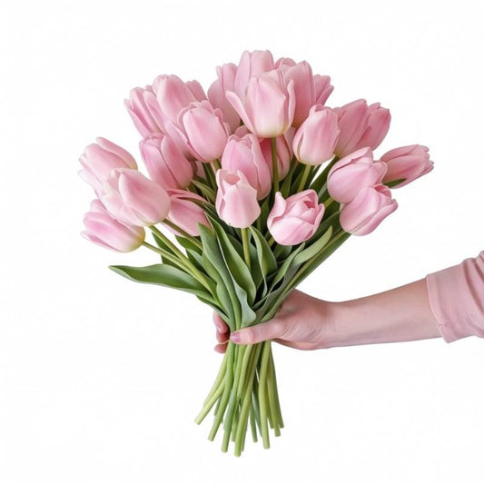 Bouquet of pink tulips held by a hand on a white background