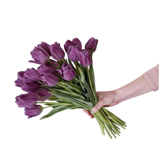 Hand holding a bunch of purple tulips on a white background