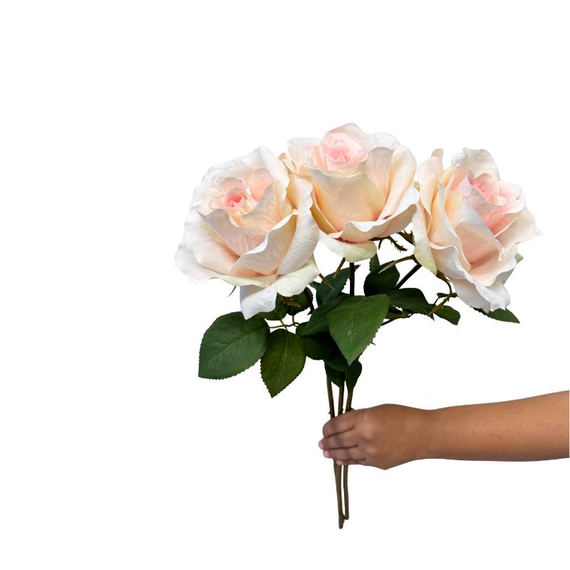 Bouquet of white and pink roses held by a hand on a white background