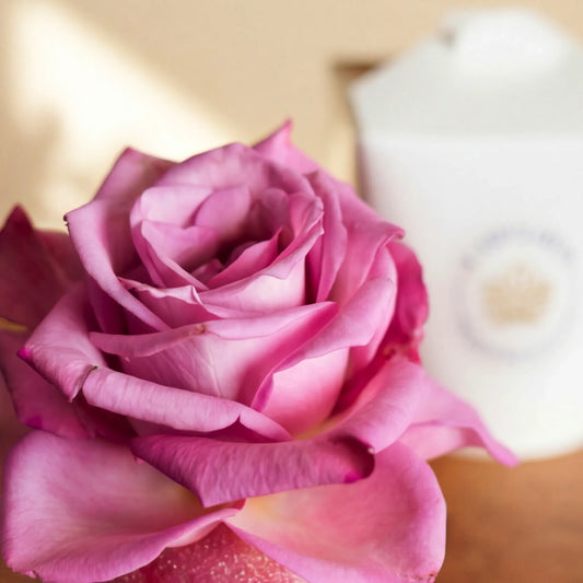 Close-up of the pink rose bloom topping the Single Vanilla Cupcake by Flower Guy