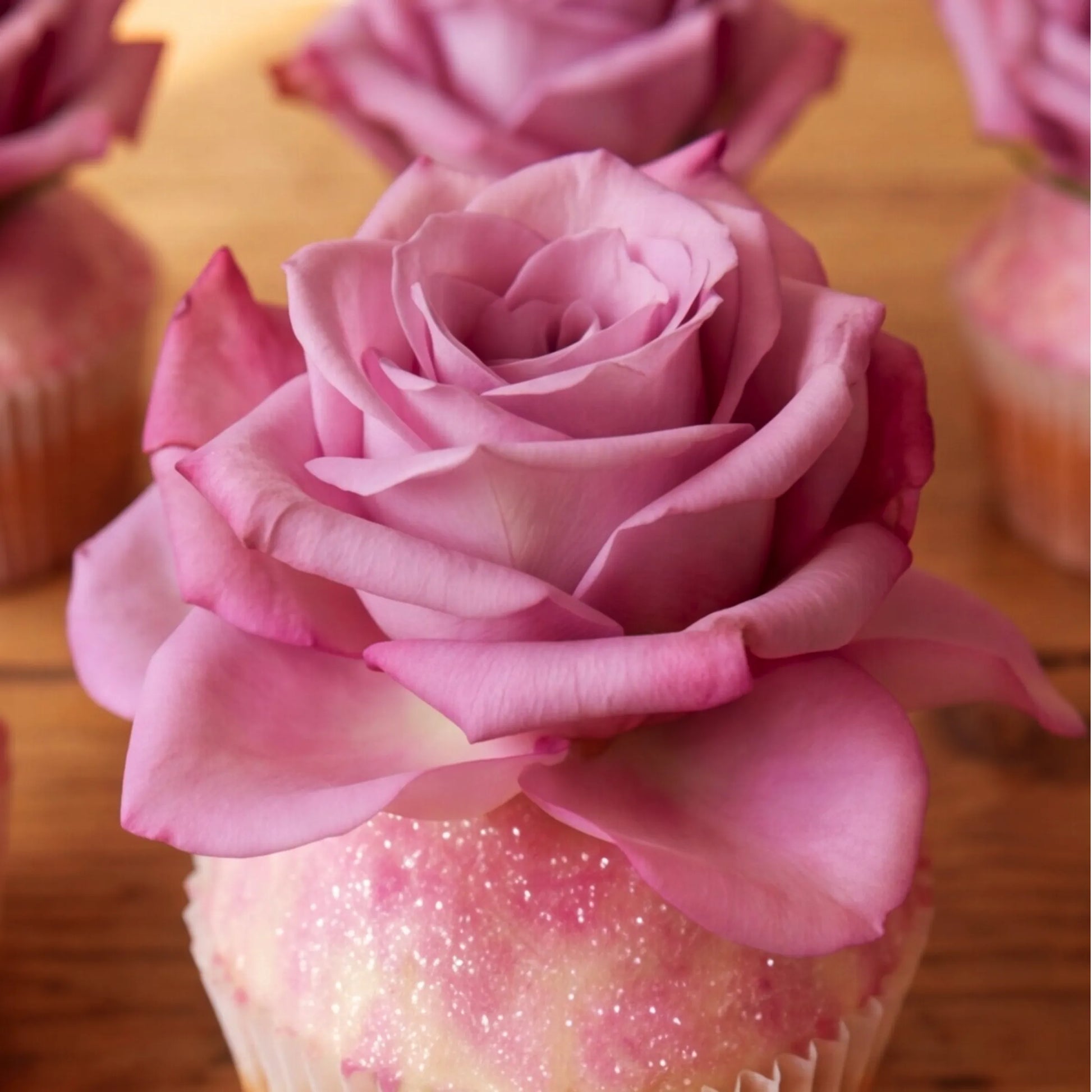Macro shot of a single rose-topped vanilla cupcake from the Six Vanilla Cupcakes set, showing the lavender-pink rose petal detail and pink edible glitter dusting
