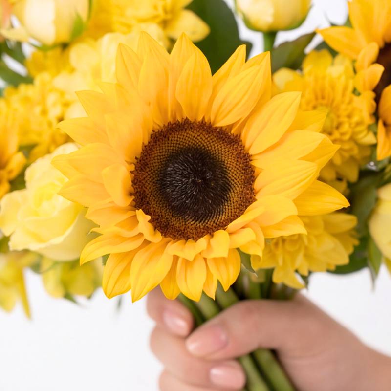 The Sunstruck sunflower bouquet held by a florist, long green stems, natural raffia tie, fresh yellow flowers ready for delivery.