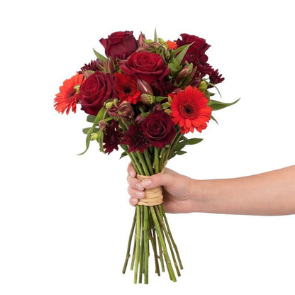 Bouquet of red and burgundy flowers held by a hand on a white background