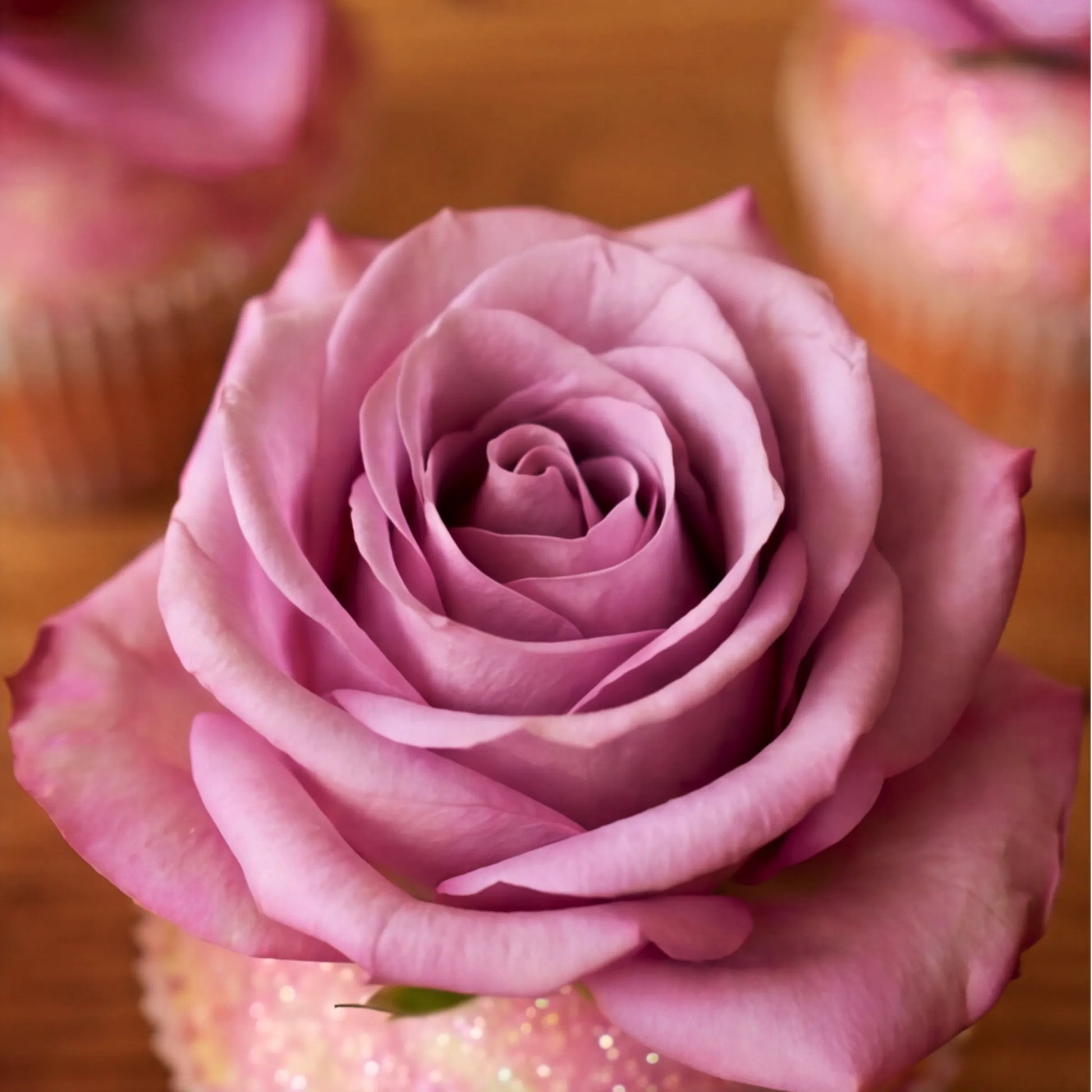 Macro detail of a fresh lavender-pink rose bloom sitting on a glitter-dusted vanilla cupcake, hand-finished by Flower Guy Cape Town bakery