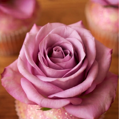 Macro detail of a fresh lavender-pink rose bloom sitting on a glitter-dusted vanilla cupcake, hand-finished by Flower Guy Cape Town bakery