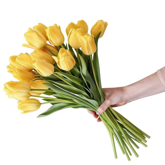 Hand holding a bouquet of yellow tulips on a white background